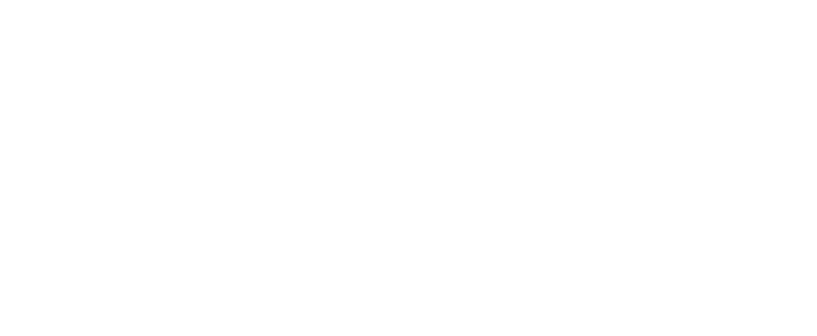 VINCENT